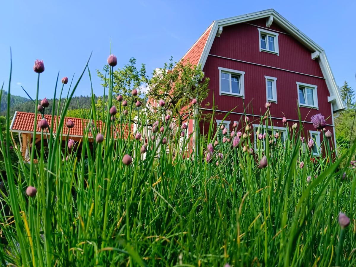 Haus Gruenfels Apartment Murau Εξωτερικό φωτογραφία