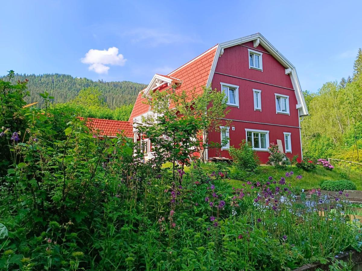 Haus Gruenfels Apartment Murau Εξωτερικό φωτογραφία