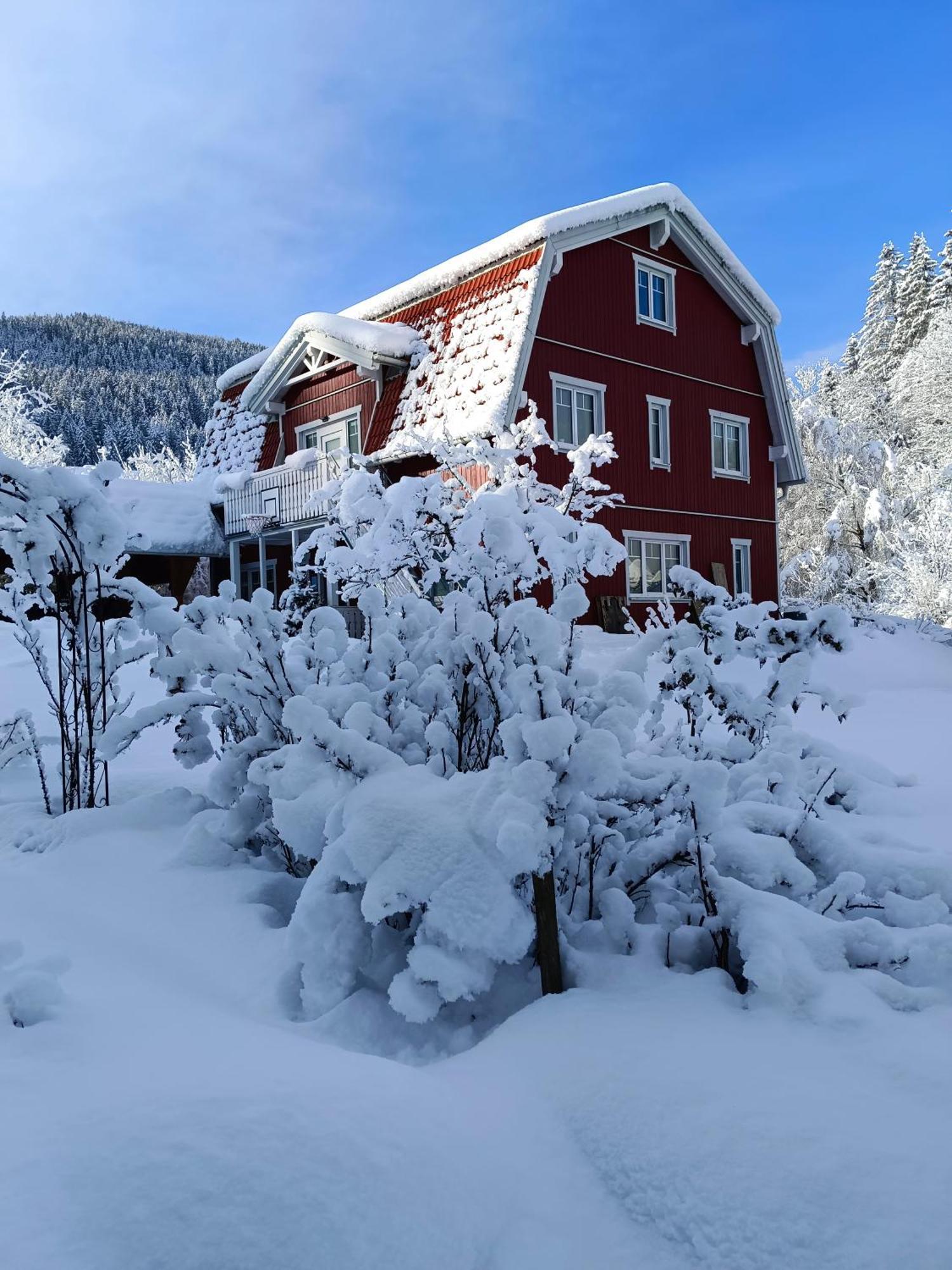 Haus Gruenfels Apartment Murau Εξωτερικό φωτογραφία